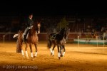 Horse Show 268 - Feria de Arcos - Spain