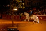 Horse Show 273 - Feria de Arcos - Spain