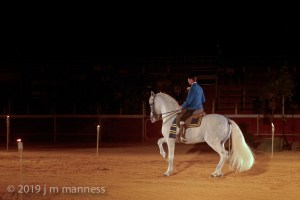 Horse Show 274 - Feria de Arcos - Spain