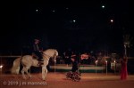 Horse Show 413 - Feria de Arcos - Spain