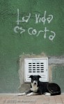La Vida Es Corta 5751 - Bogotá