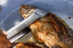 Fish Frying 6109 - Cartagena