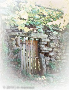 Garden Wall 058 - Spain