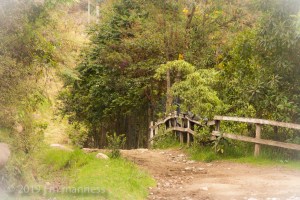 Country Lane 13986 - Outside Salento, Colombia