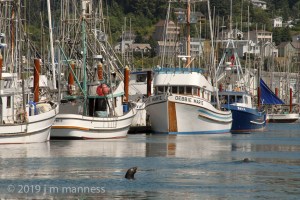 OR2009_042Coast-1403