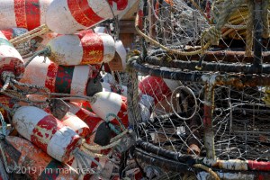 OR2009_042Coast-1420