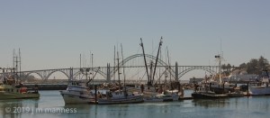 Newport, Oregon Coast - 2993