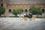 Plaza Sevilla 009Svla-0147 - Spain